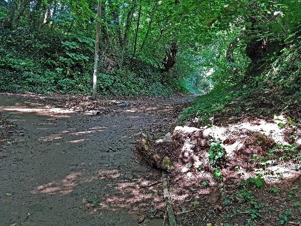 Image of Location 12 Junction of Pathways